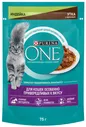 Влажный корм для кошек Purina ONE Индейка-Утка-Морковь 75г