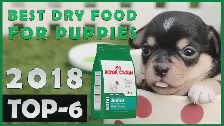 Best 🔥 Dry Food For Puppies 🐶 Review 🔥 TOP 6