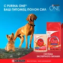 Влажный корм для собак Purina ONE для мелких пород старше 1 года с курицей морковью и зеленой фасолью в подливе 85г