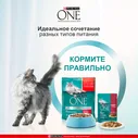 Корм влажный Purina One для взрослых кошек с говядиной и морковью, 75г