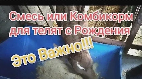 Комбикорм для Телят с Рождения(состав)