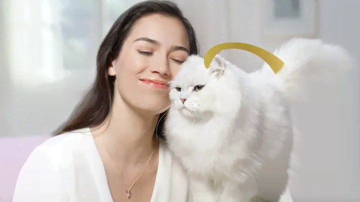 Single Serving Fancy Feast Petites Wet Cat Food - Fancy Feast