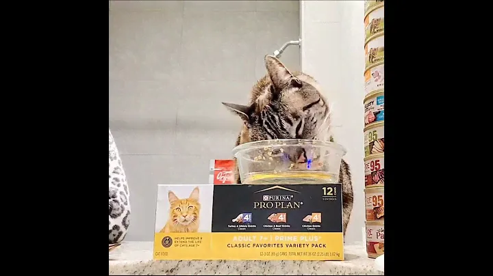 Purina Pro Plan Prime Plus 7+ Senior Cats Wet Cat Food Turkey Giblets Variety Pack Unboxing Reviews