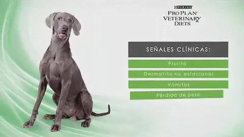 PRO PLAN VETERINARY DIETS ABRIL 2017