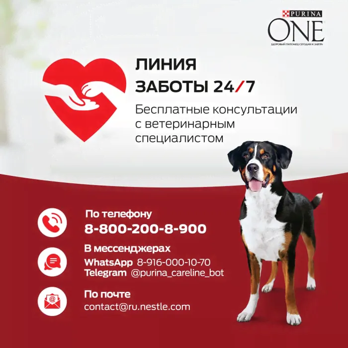 Сухой корм для собак Purina ONE для средних и крупных пород с курицей и рисом 3.8кг-2