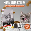 Purina Pro Plan корм для взрослых кошек с курицей и рисом (adult chicken&rice)
