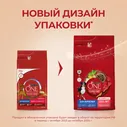 Purina ONE Adult Сухой корм для взрослых собак средних и крупных пород, с говядиной и рисом, 3,8 кг