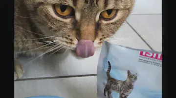 Консервы для кошек PURINA PRO PLAN Hydra Care
