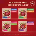 Сухой корм для собак мелких пород Purina One Мини Взрослая, с говядиной и рисом