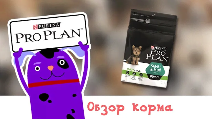 Обзор корма Pro Plan Small & Mini Puppy Optistart