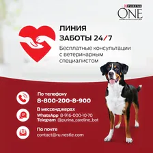 Сухой корм для собак Purina ONE для средних и крупных пород с курицей и рисом 3.8кг