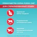 Корм сухой Purina One для стерилизованных кошек и кастрированных котов с высоким содержанием лосося, 750г
