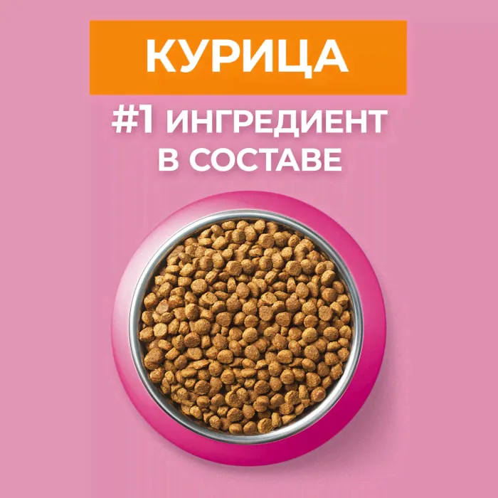 Сухой корм для котят Purina ONE с курицей 200г-4