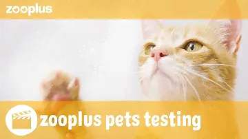 Nils | zooplus pets testing: PURINA PRO PLAN Hydra Care Feline