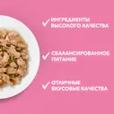 Корм влажный Purina One для котят с курицей и морковью, 75г
