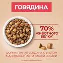 Сухой корм для собак Purina ONE для мелких пород с говядиной и рисом 7кг