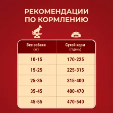 Purina ONE Adult Сухой корм для взрослых собак средних и крупных пород, с говядиной и рисом, 3,8 кг