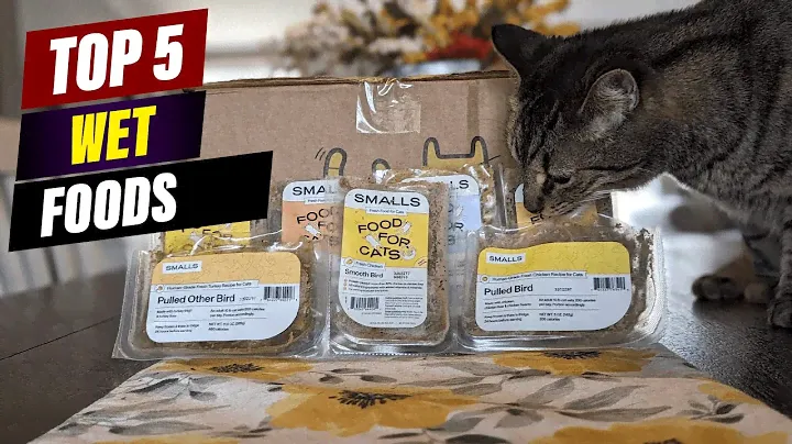 Best Cat Foods for Weight Loss: A Veterinarian's Guide