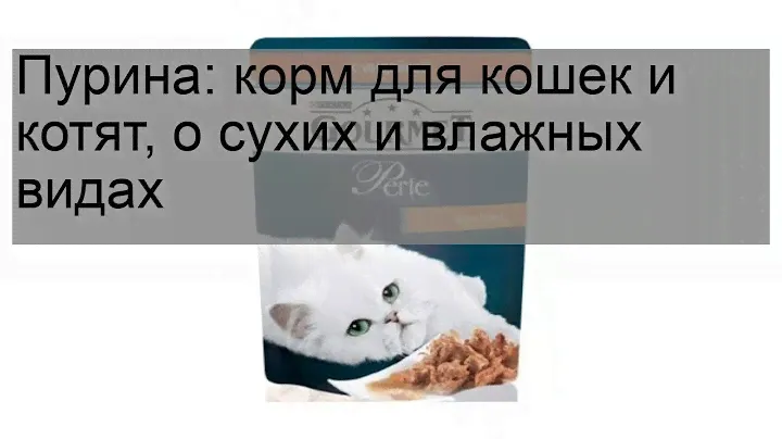 Пурина: корм для кошек и котят, о сухих и влажных видах