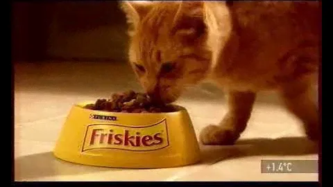 Корм Friskies: Для активных котов в сапогах и без! (2011)