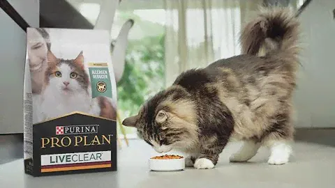 PRO PLAN LiveClear – The First Cat Allergen Reducing Cat Food