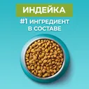 Сухой корм для кошек Purina ONE для стерилизованных с индейкой 9.75кг