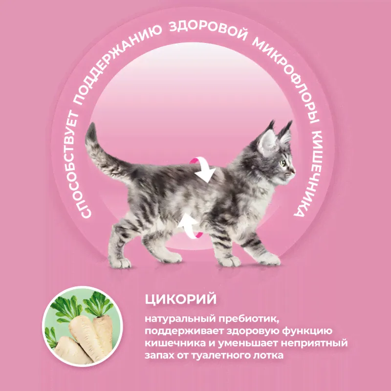 Сухой корм для котят Purina ONE с курицей 200г-3
