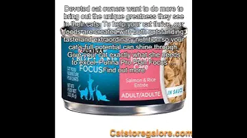 Purina Pro Plan FOCUS Indoor Care Adult Canned Wet Cat Food