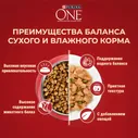 Сухой корм для взрослых собак мелких пород Purina ONE Мини Чувствительная, с чувствительным пищеварением, с лососем и рисом