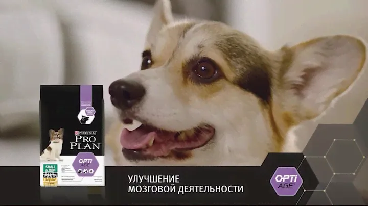 Реклама Purina | Пурина Про план