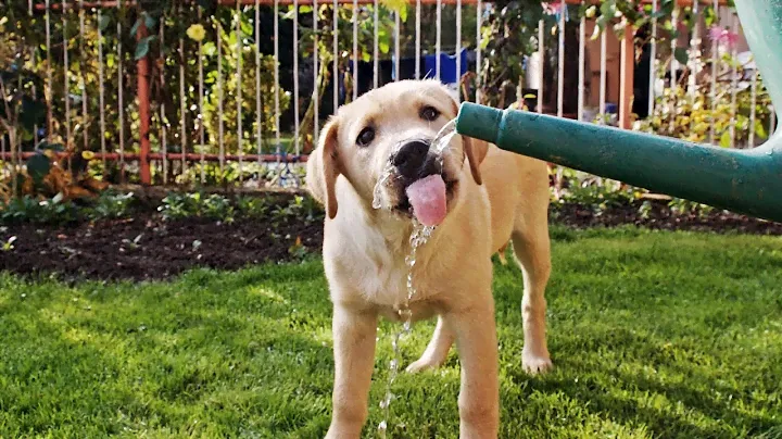 Stay Hydrated