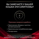 PRO PLAN® Veterinary Diets Purina DM ST/OX Diabetes Management Влажный диетический корм (консервы) для кошек при сахарном диабете, паштет, 195 гр.