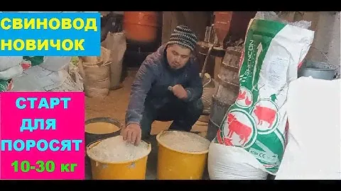 Сколько пойдет корма, на 20 свиней? Какой рацион будем использовать?! Откорм свиней. Свиноводство.