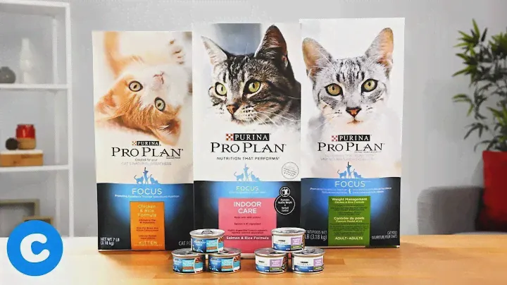 Purina Pro Plan Focus for Cats | Chewy