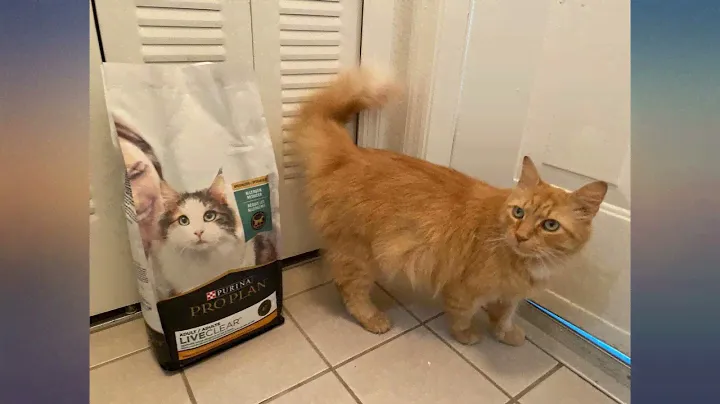 Purina Pro Plan Allergen Reducing, High Protein Cat Food, LIVECLEAR Chicken and review
