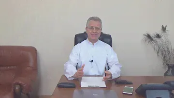 Премиксы и БМВД для свиней, отличия между ними, что выбрать и что дешевле при откорме свиней