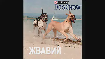 Purina Dog Chow® Ukraine  — Друзяка