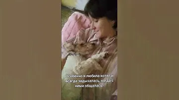 Жизнь аллергика с собакой #аллергия #щенок #студент #собака #аллергик