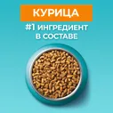 Корм сухой Purina One для взрослых кошек с курицей, 9.75кг