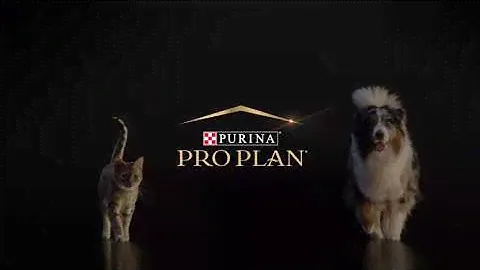 PURINA® PRO PLAN®. Вибір надзвичайних власників для їхніх надзвичайних улюбленців.