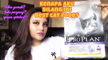 Review Proplan Kitten terJUJUR dan bedah komposisi terLENGKAP!! Catlovers masoook!!