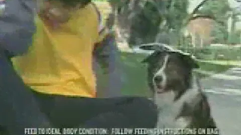 Purina Dog and puppy chow commercial