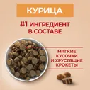 Сухой корм для собак Purina ONE для средних и крупных пород с курицей и рисом 3.8кг