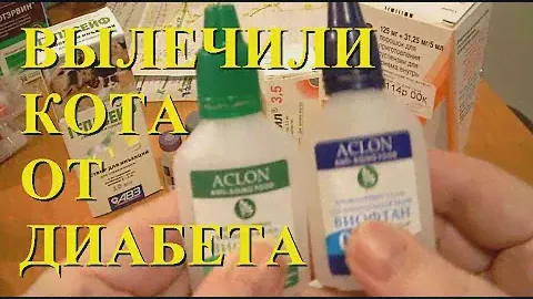 Как ЛЕЧИЛИ КОТА от ДИАБЕТА (подробно)
