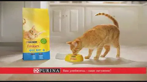 Nestlé PURINA Friskies®