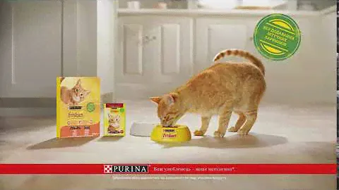 Nestlé PURINA Friskies® - За Friskies® котом вдача ходить хвостом!