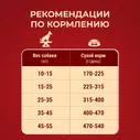 Корм сухой Purina One для взрослых собак средних и крупных пород с говядиной и рисом, 10кг