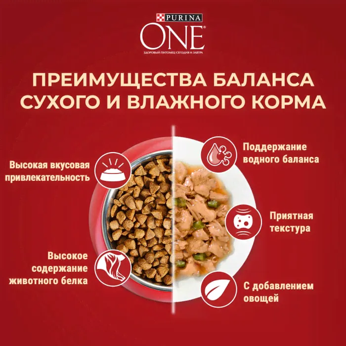 Сухой корм для взрослых собак мелких пород Purina ONE Мини Чувствительная, с чувствительным пищеварением, с лососем и рисом-4