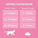 Корм влажный Purina One для котят с курицей и морковью, 75г