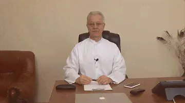 Рыба для собак и кошек, ее количество в рационе и как часто можно кормить. Разбиваем стереотипы.
